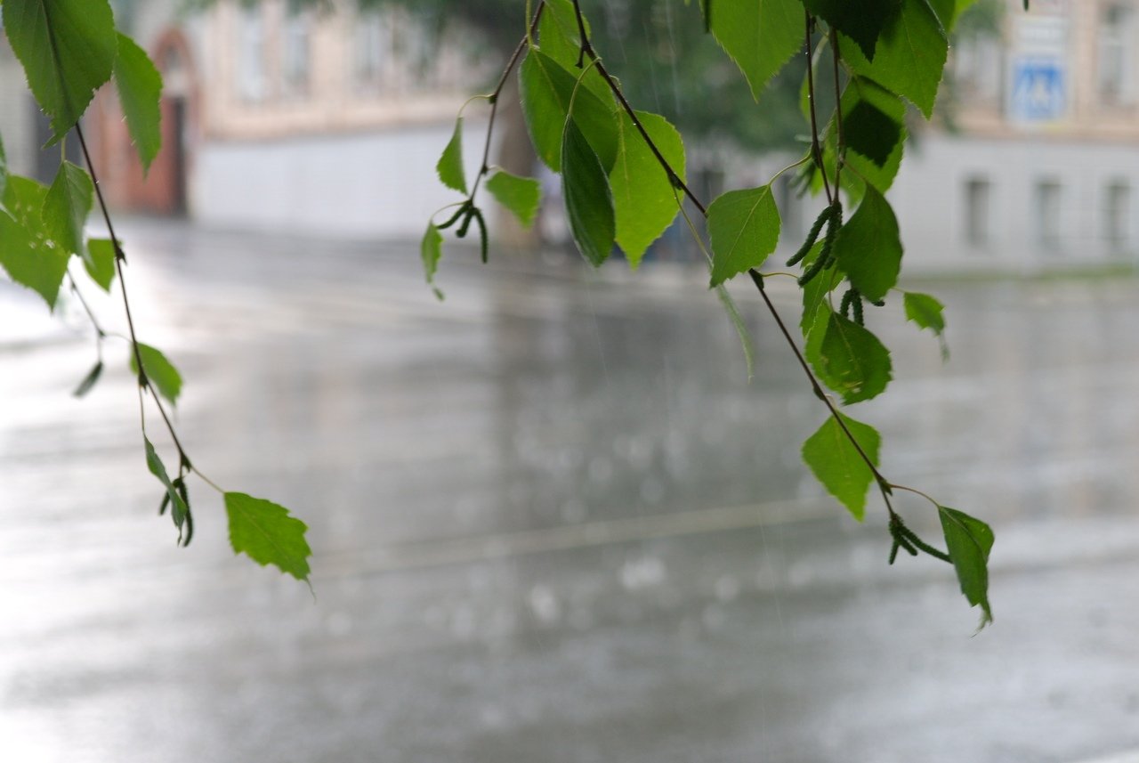 Дожди и грозы ожидаются в Казахстане - dixinews.kz