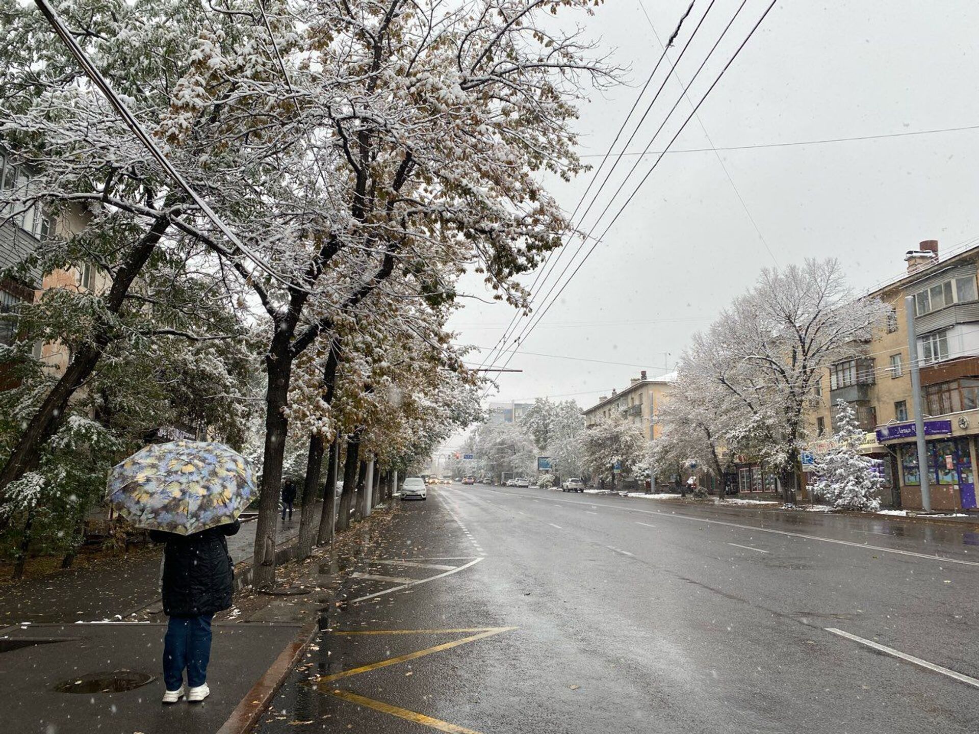 Буря в алматы сегодня. Алматы снег. В Алматы выпал снег. Алматы зима. Снег в Алматы сегодня.
